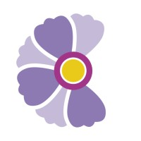 Cosmea Pflege
