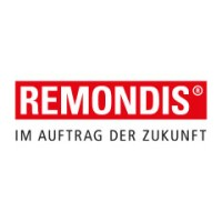 REMONDIS IT