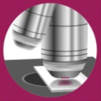 MVZ Labor PD Dr. Volkmann und Kollegen SE & Co. eGbR
