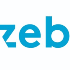 zeb.rolfes.schierenbeck.associates GmbH